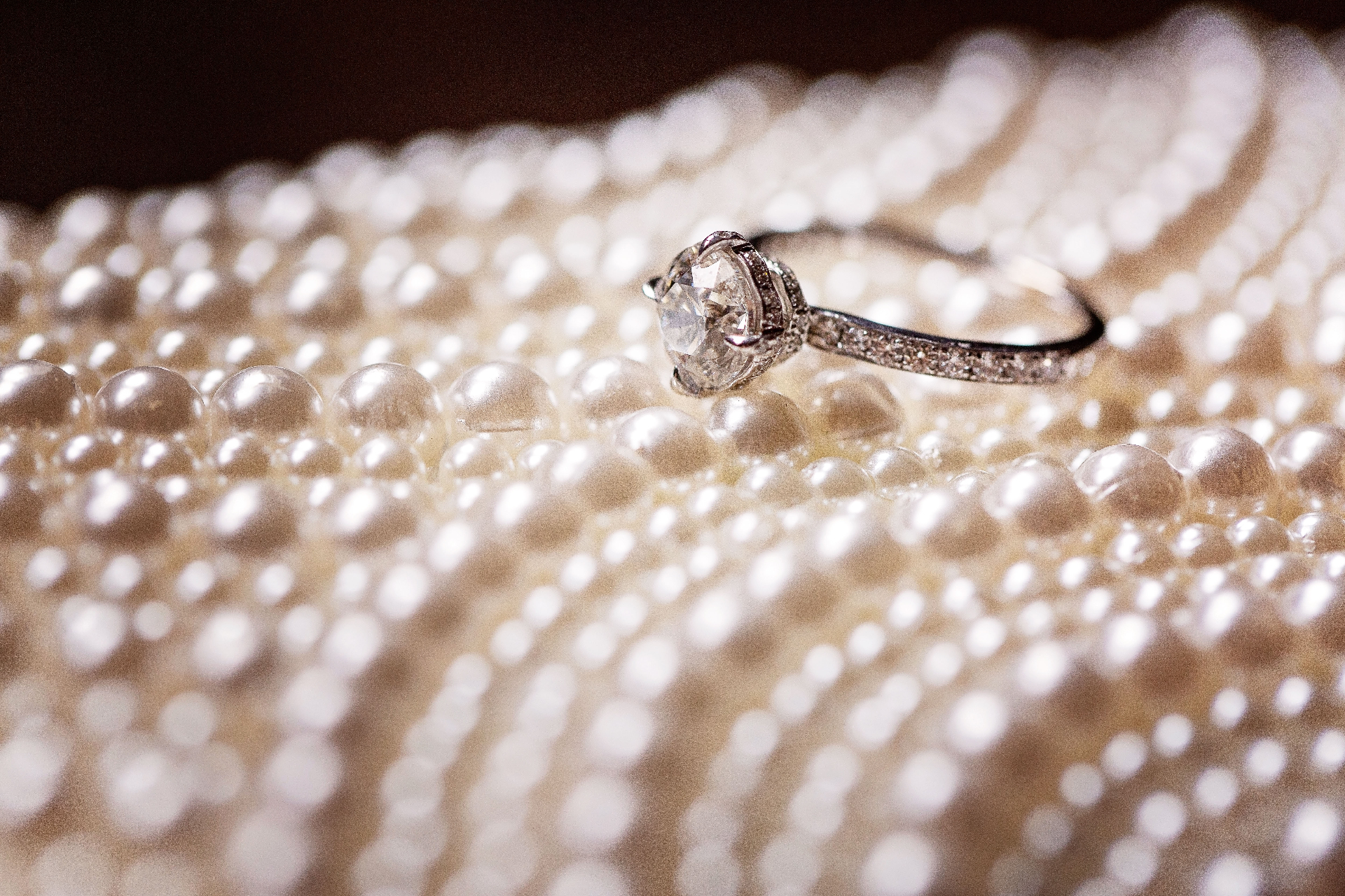 Wedding rings photographed in warm golden light