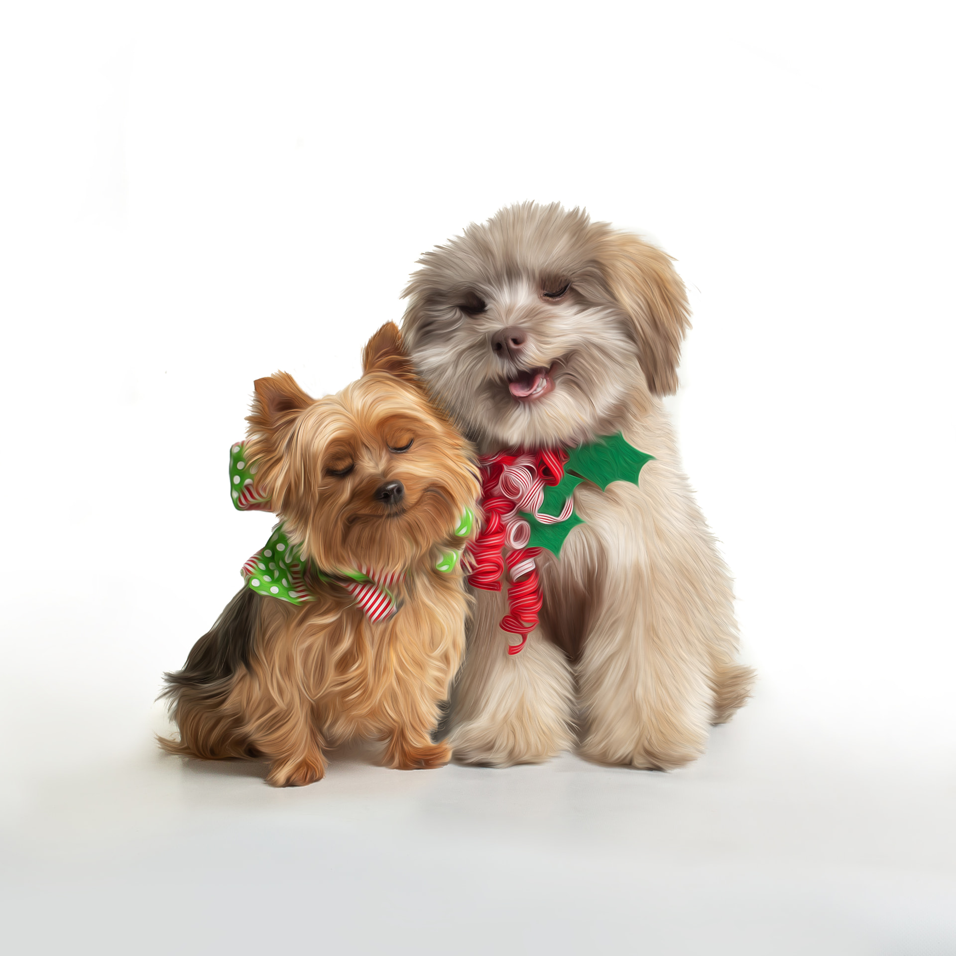 Two dogs in holiday bows posing together for a painted-style pet portrait